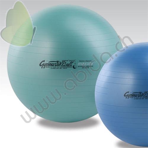 "GYMNASTIC BALL" (Blu) DIAMETRO 65 cm (Altezza persona 175 cm) Ideale dalla ginnastica alla riabilitazione, dal fitness all’aerobica, alla danza, allo sport, alla terapia